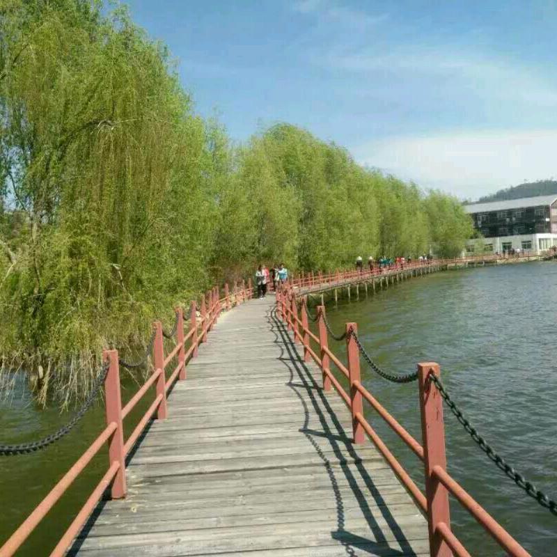 朋诚