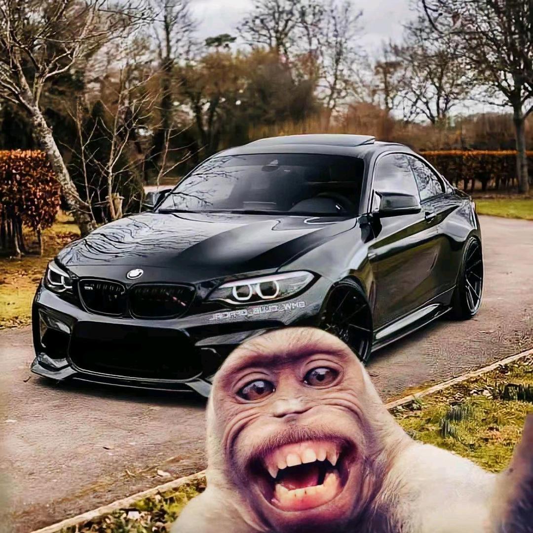 妮裳