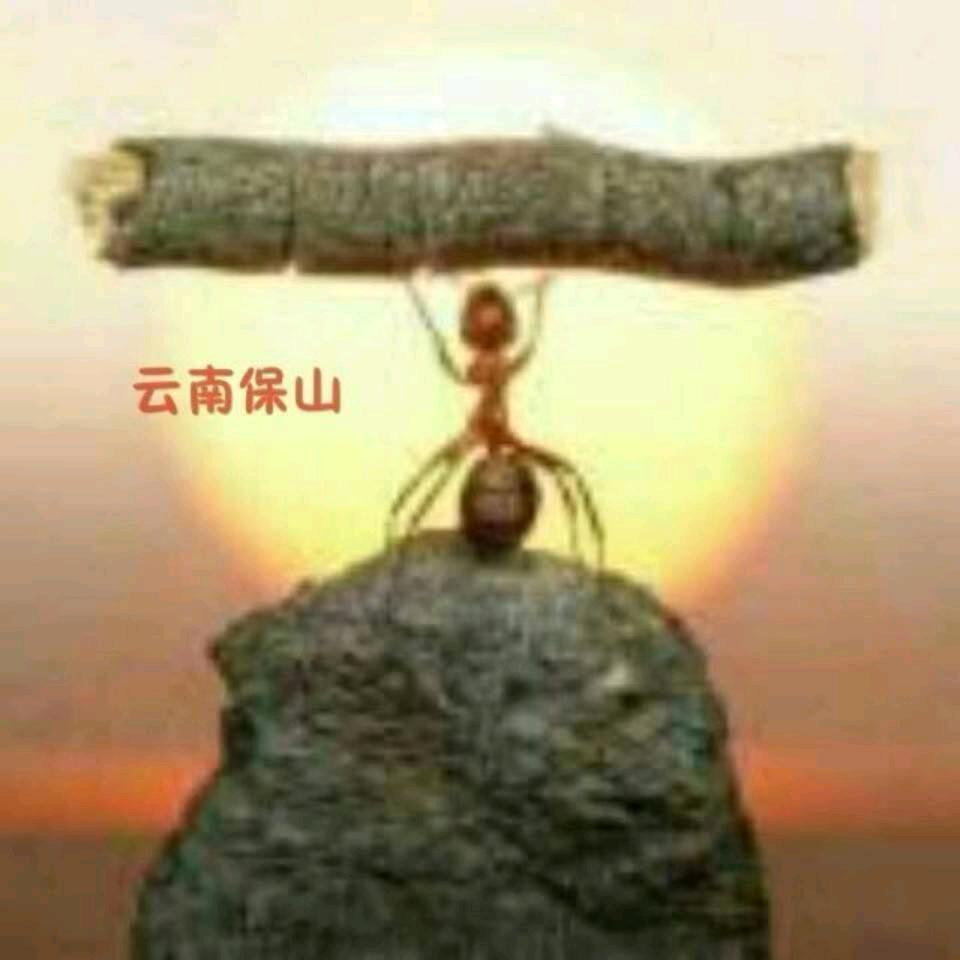 啊刚养蜂
