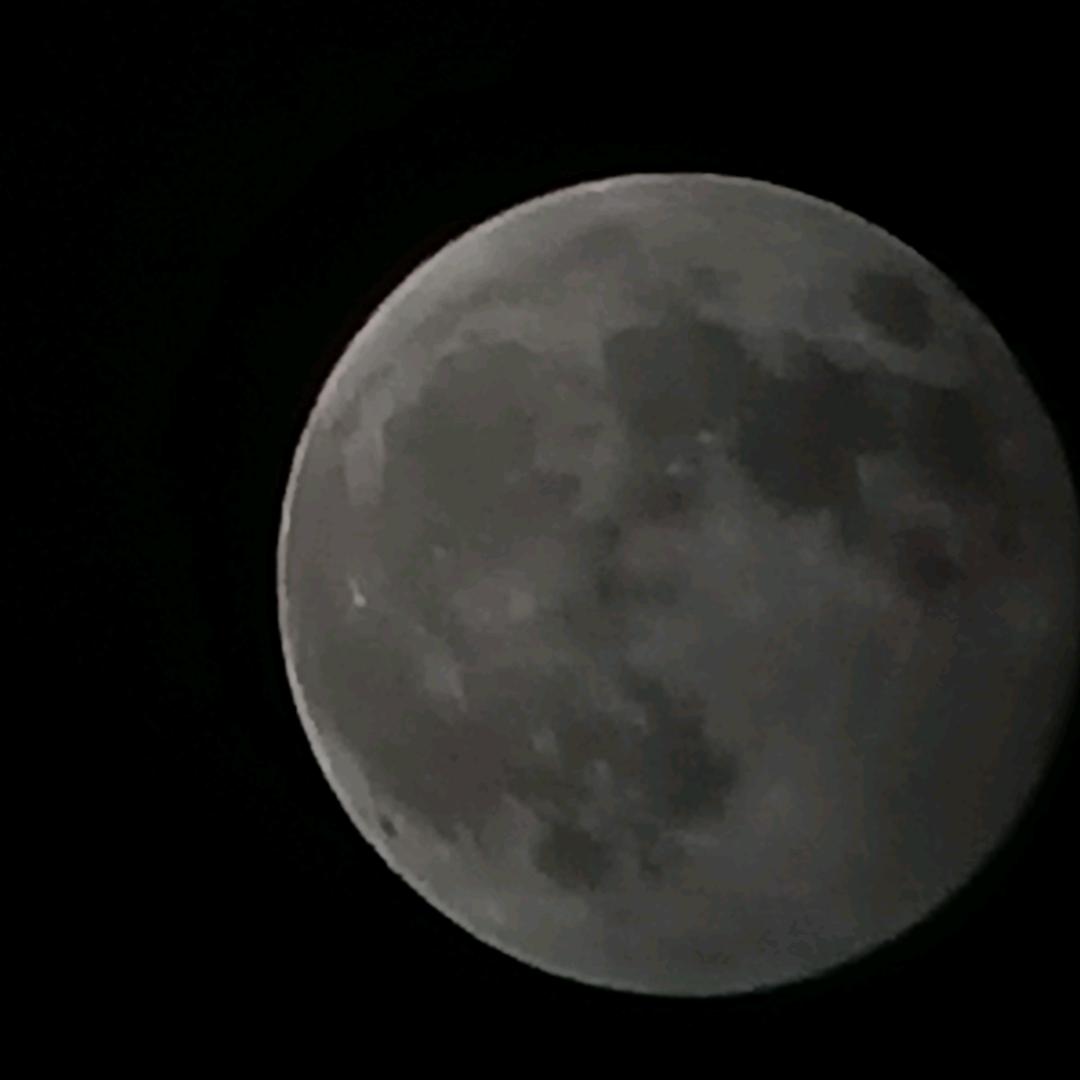 粘
