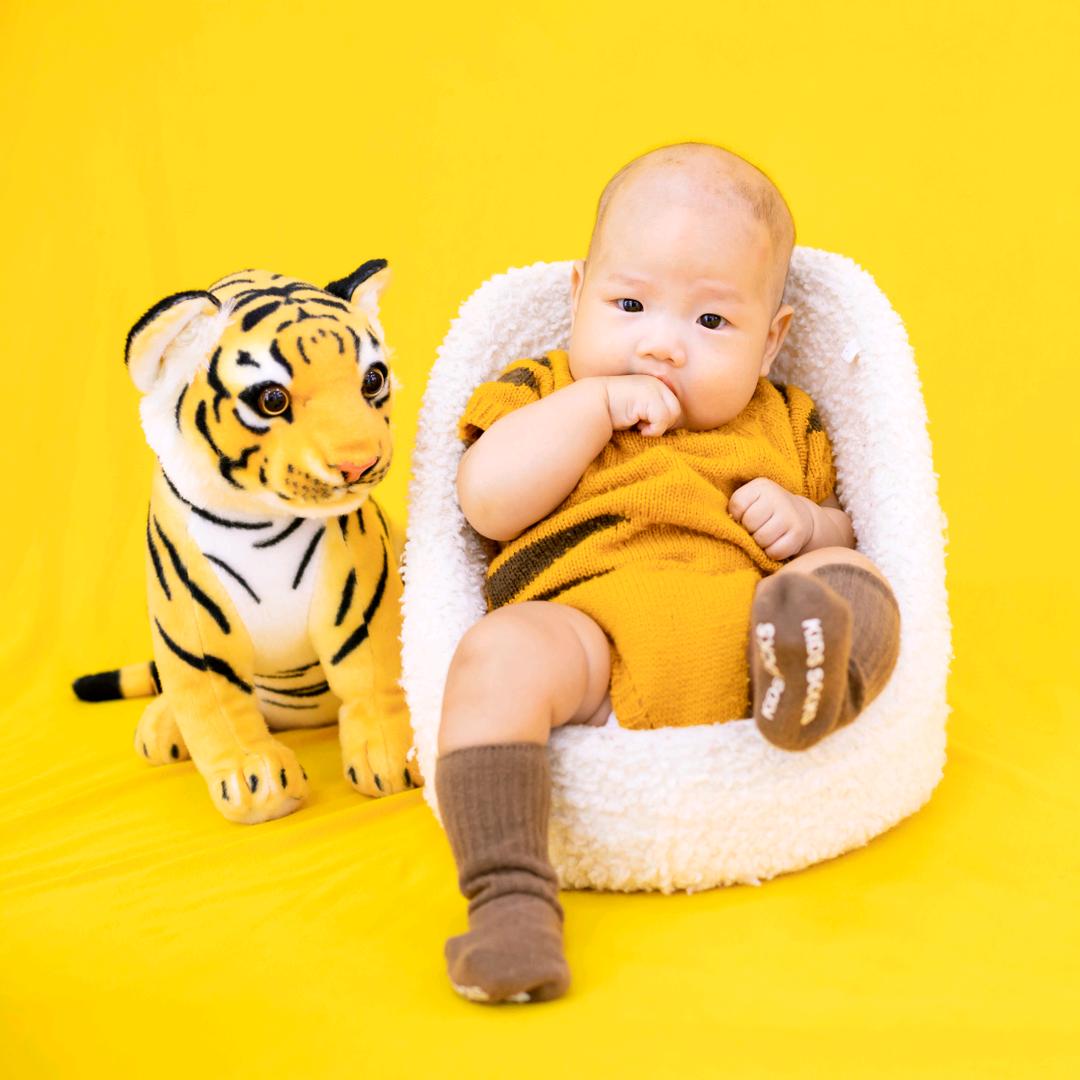 小菠萝的美好生活