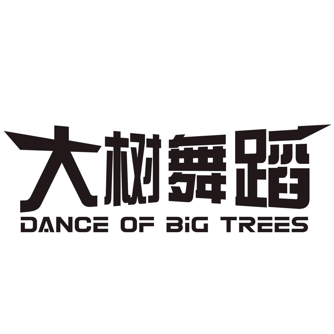 周口DS(大树)成人舞蹈