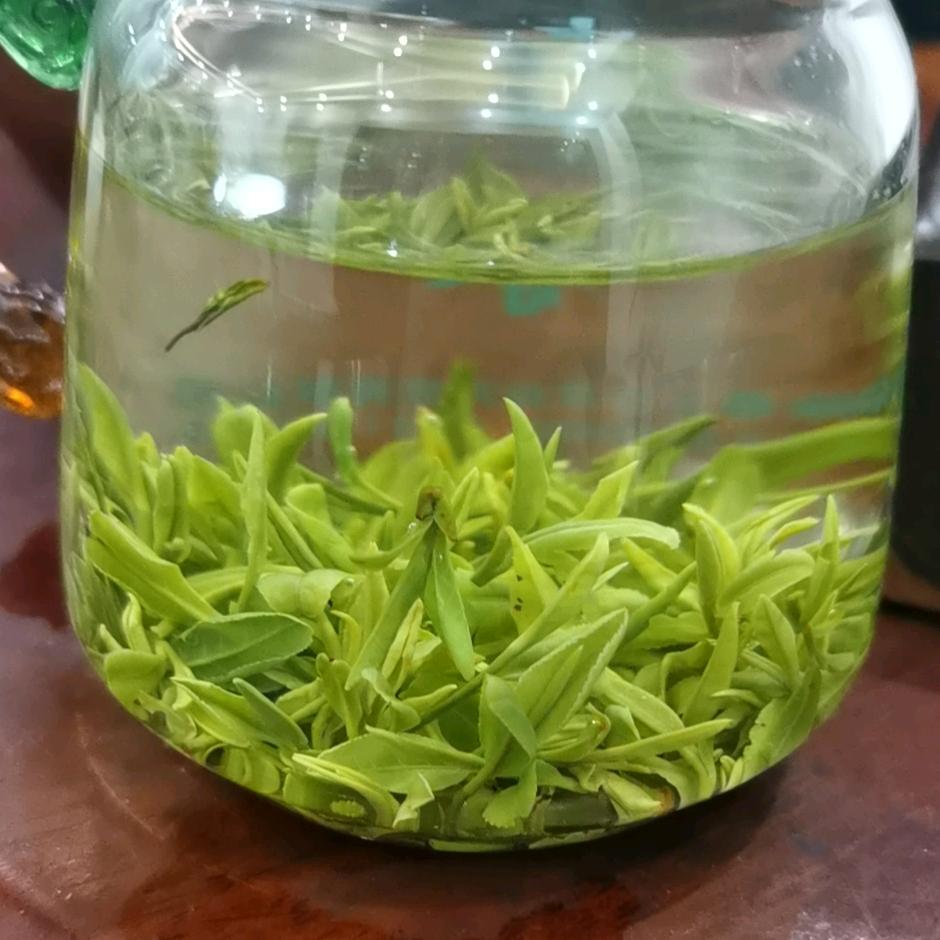 日照绿茶加工厂