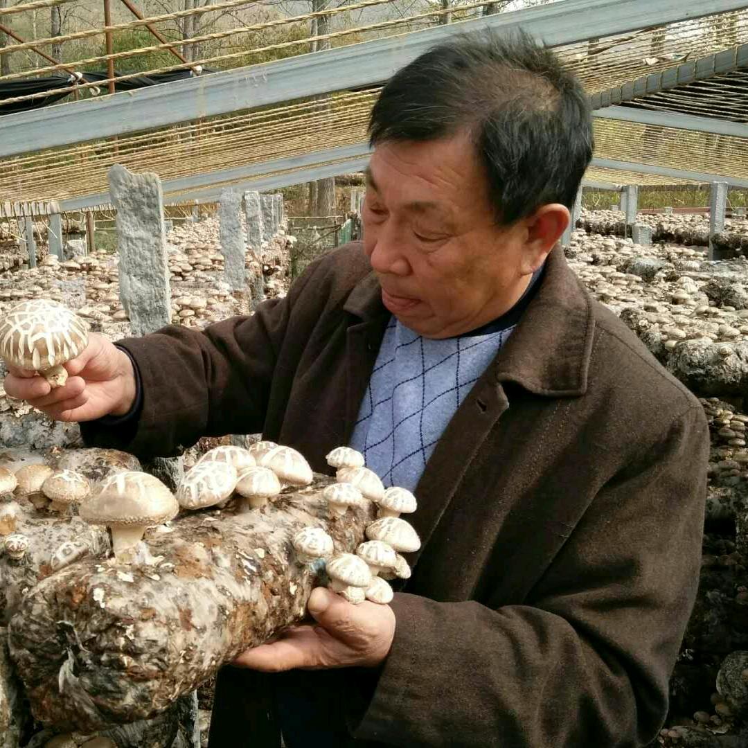 随州大海菌业