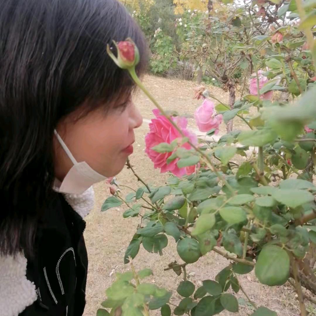 娜姐