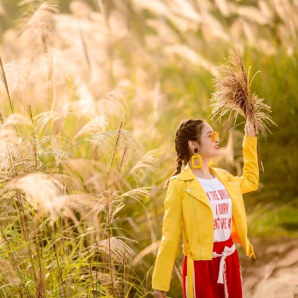 特立独行的猫🐱