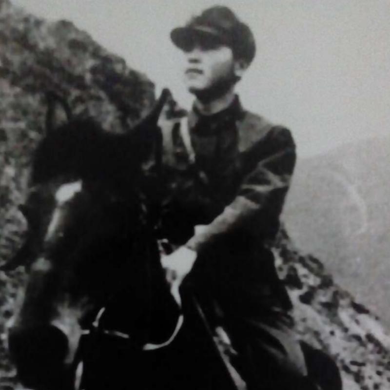 龙迪骑士
