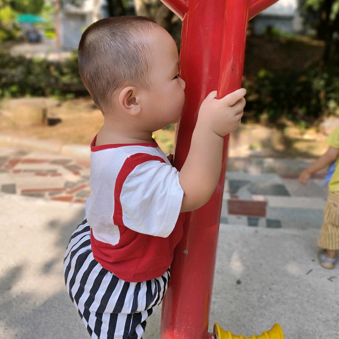 龙儿