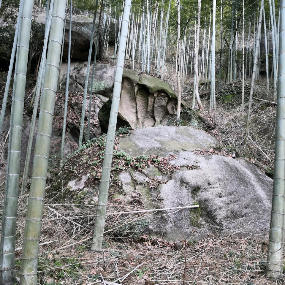 HONG zhi