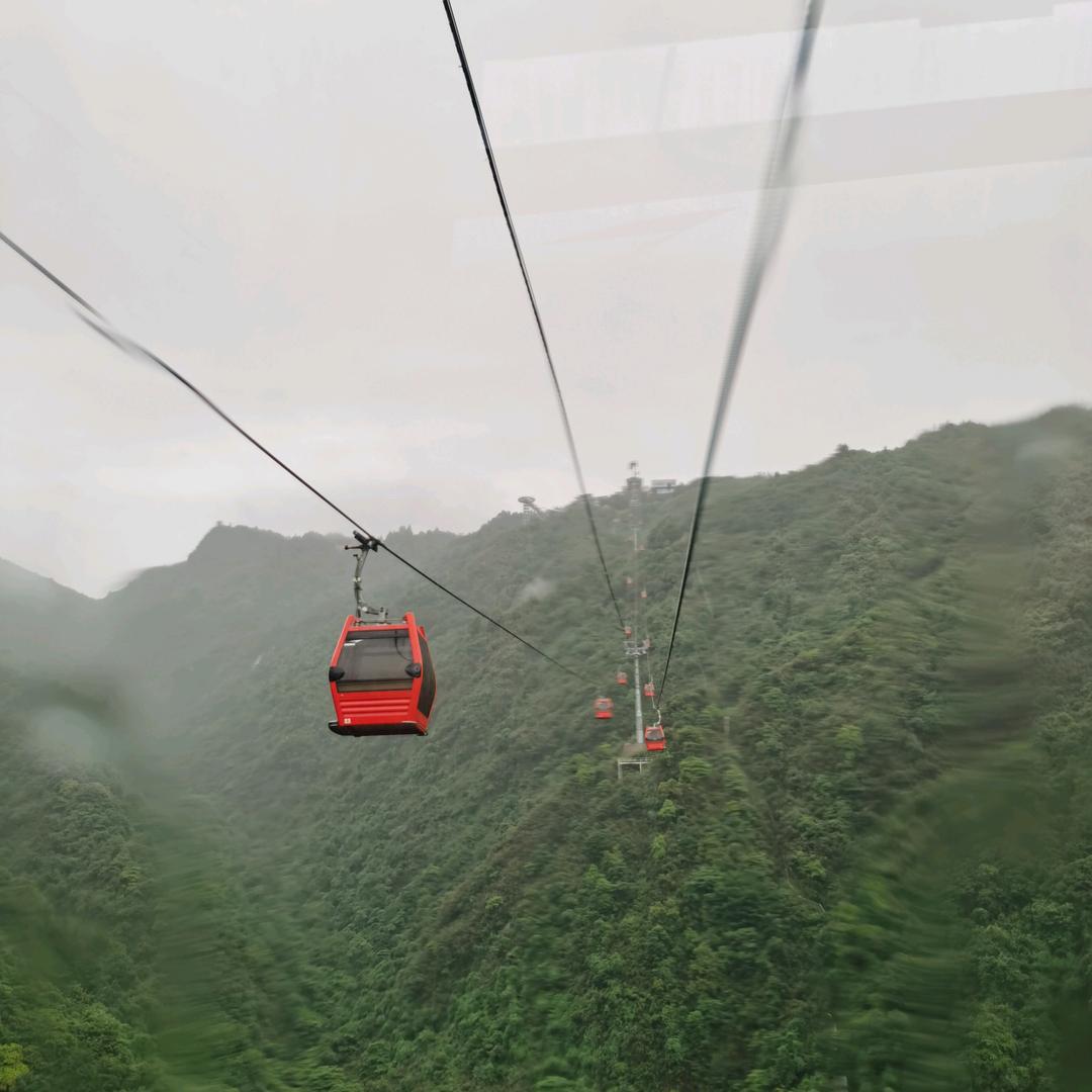 友好忠诚