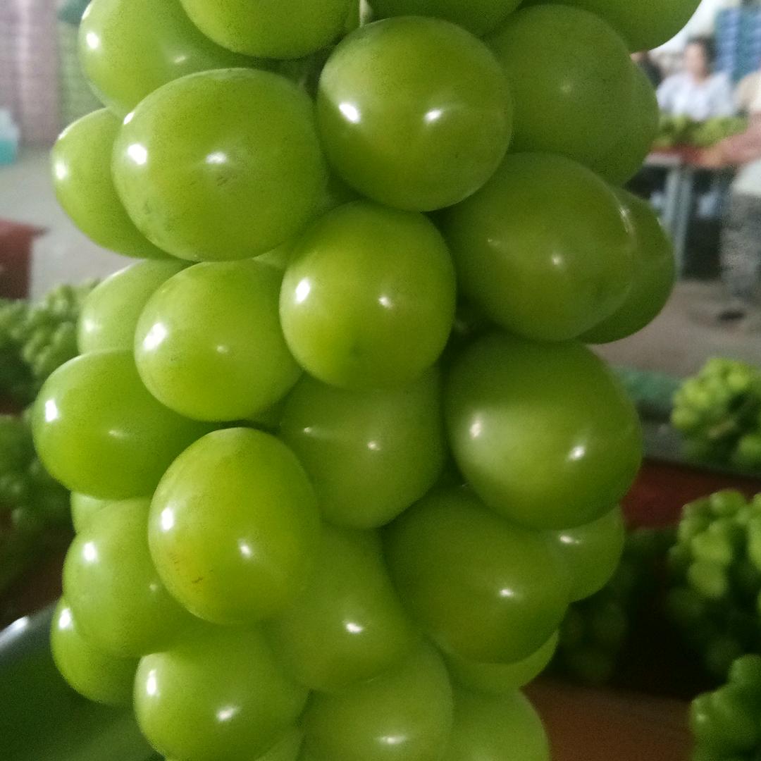 专业梳花梳果