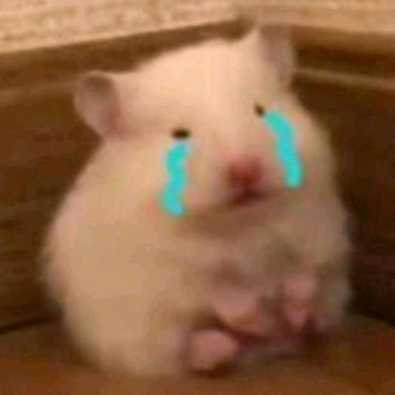 智智不聪不挂科