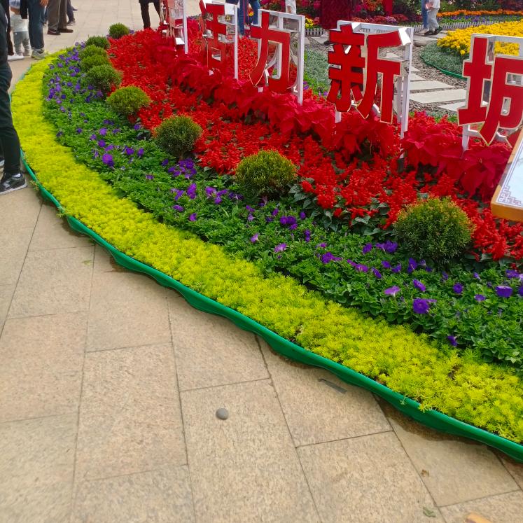 随遇而安
