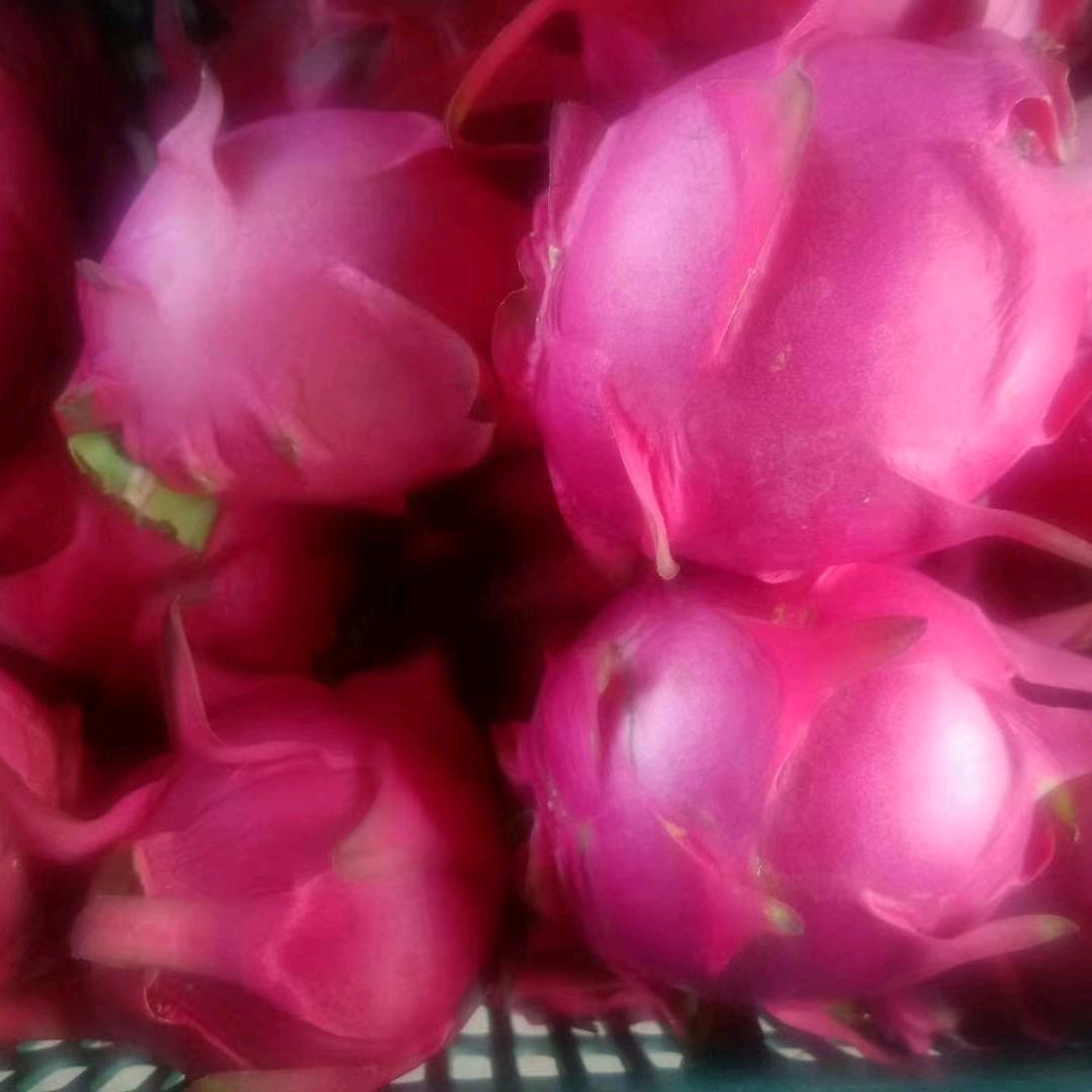 诚誉农庄有机果蔬