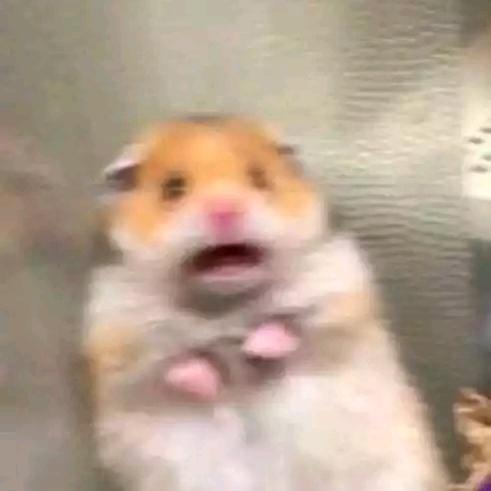 华衍秋生