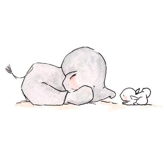 辰成想养猫