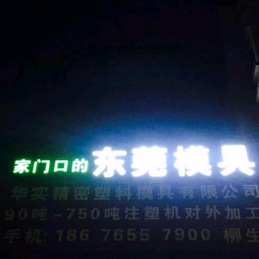 中山市华实精密模具有限公司