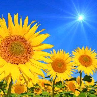 亿麦瑞（官桥店）