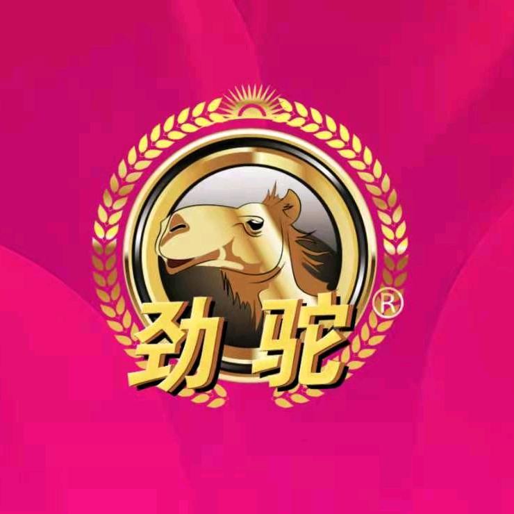 白沙槟榔哥