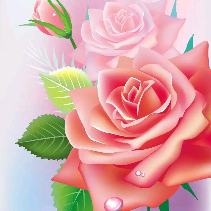 钰沛养生小百科