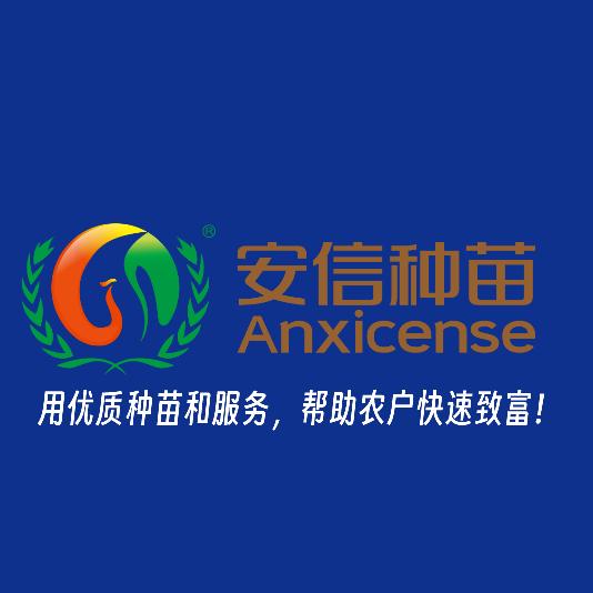 安信种苗