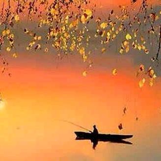 在阳光的庇护下