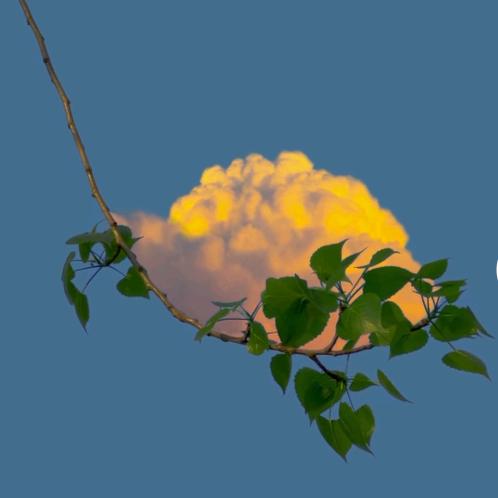 ໑ຼₒ₂₅ღ多财多亿ღ᭄²⁰²⁵