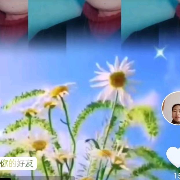 老張a