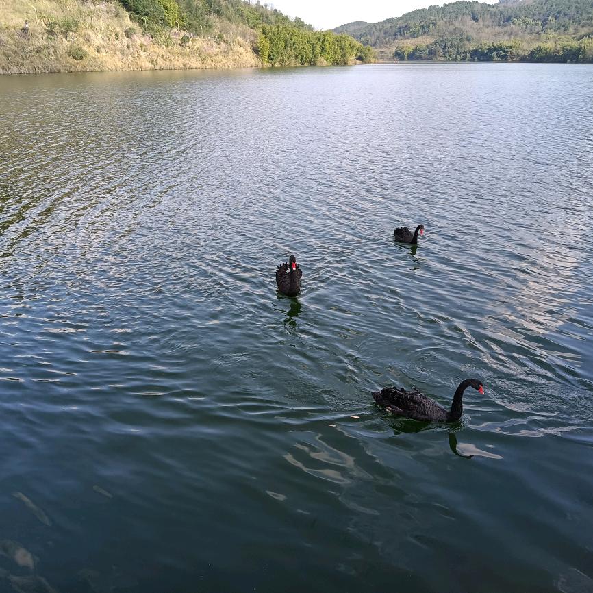 胥苒商贸潮流生活坊