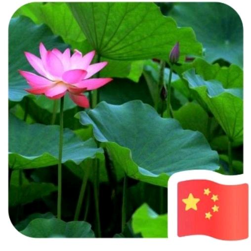 邵