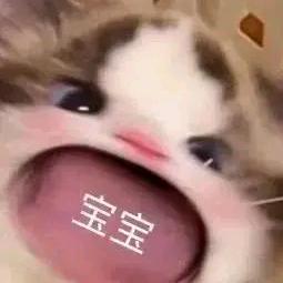 炸裂胡萝卜．