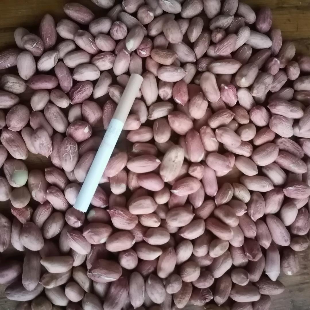 单县刘庆花生米筛选厂