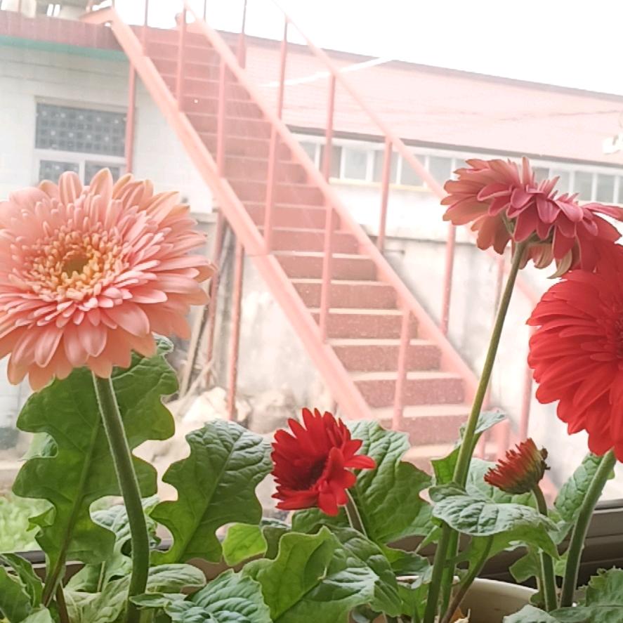 烟雨蒙蒙🌹🌹