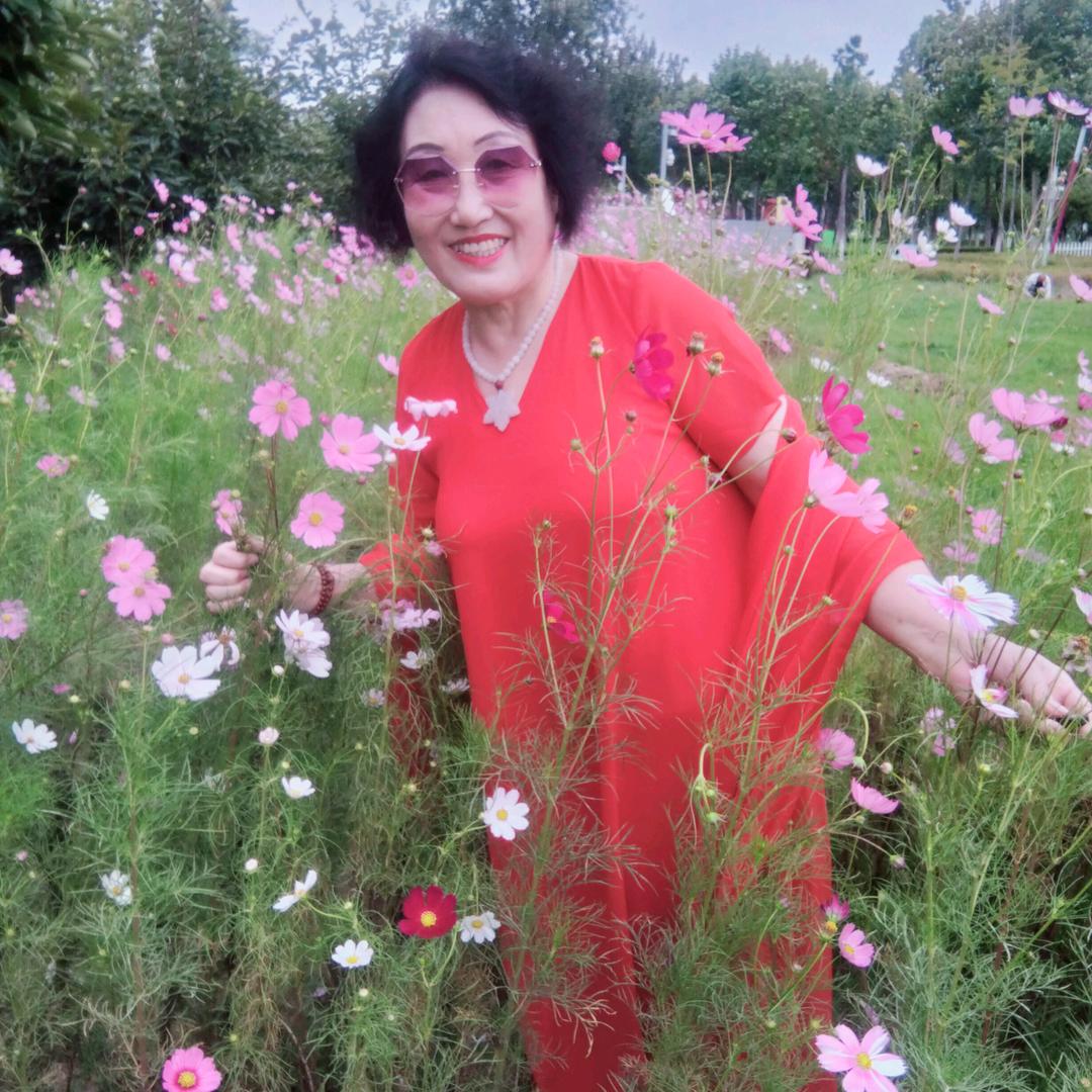 君子兰花儿