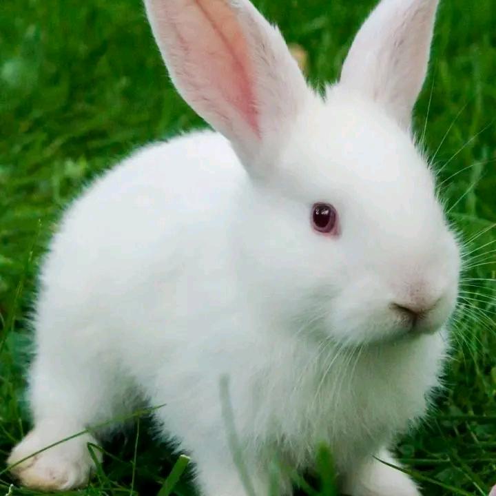 等你等了那么久