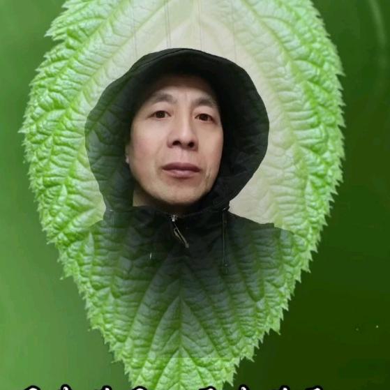 王光华