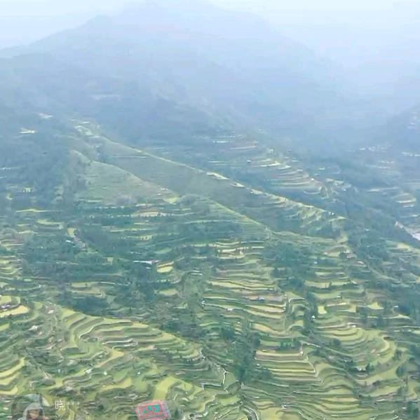 小样家