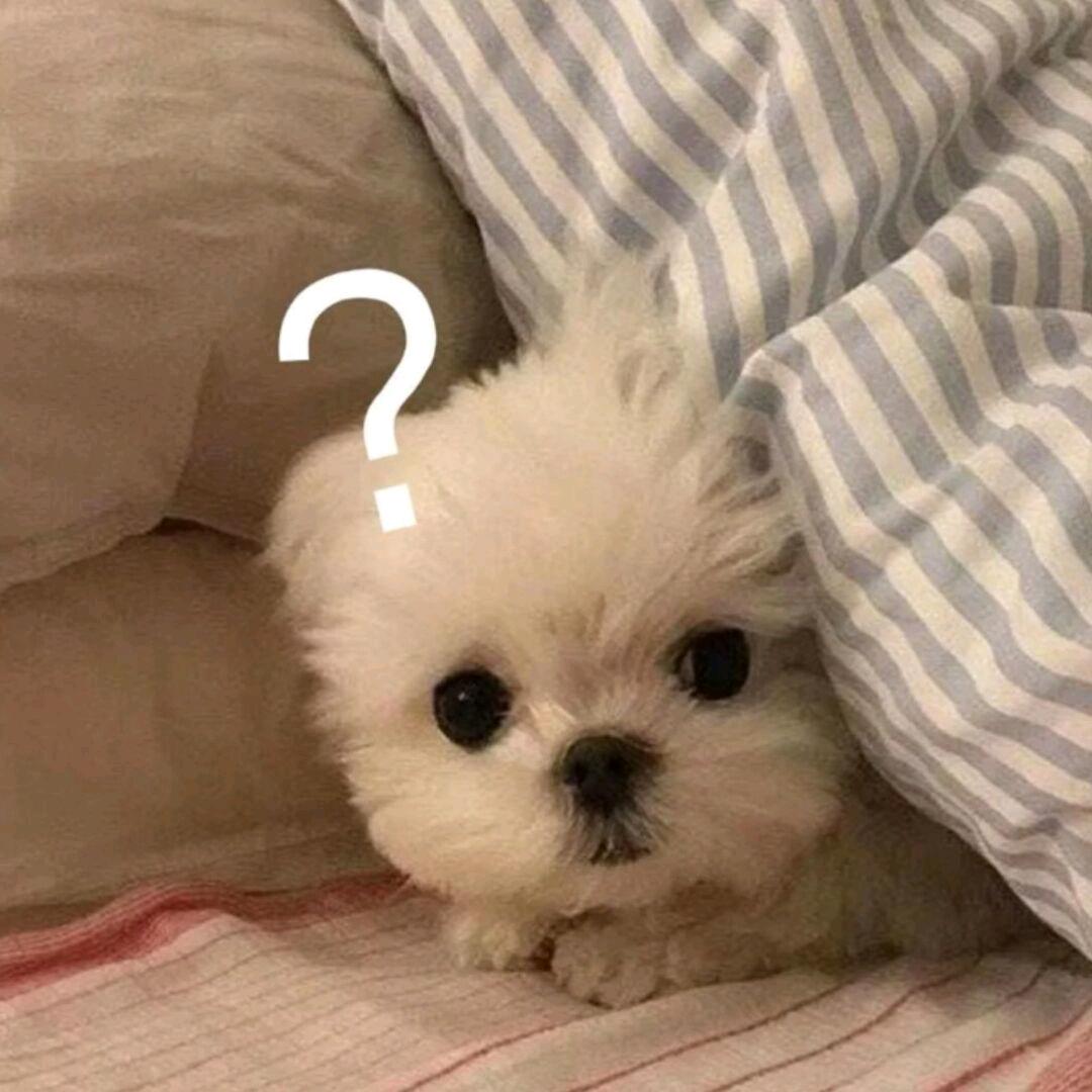 。。。。