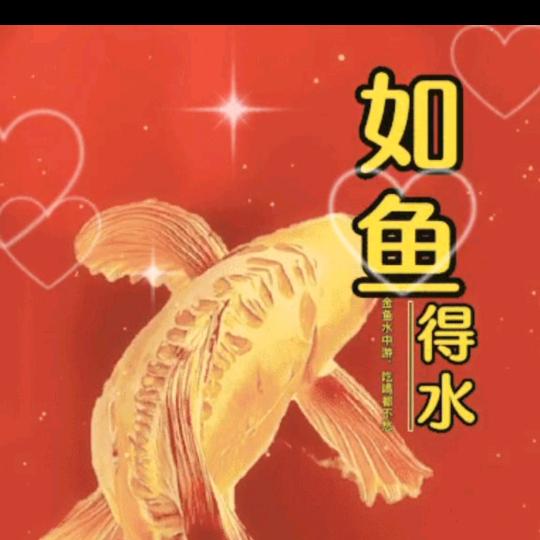 如鱼得水！