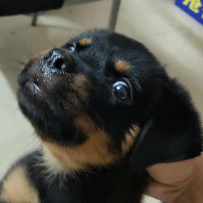 与鱼语渔