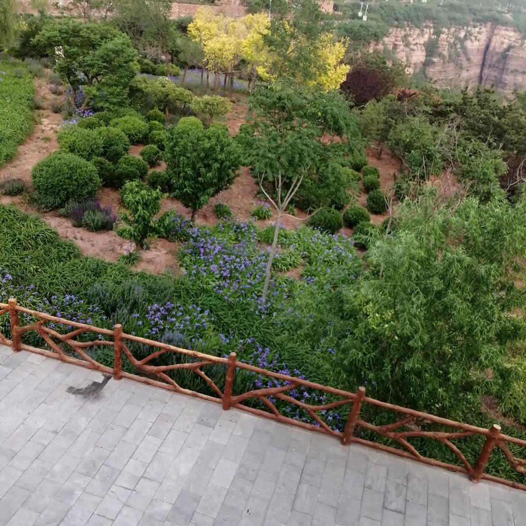 老贾排骨拽面馆，家常菜