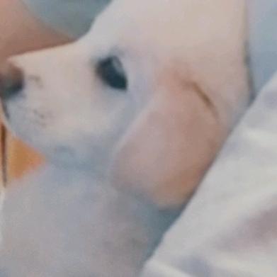 网事如梦