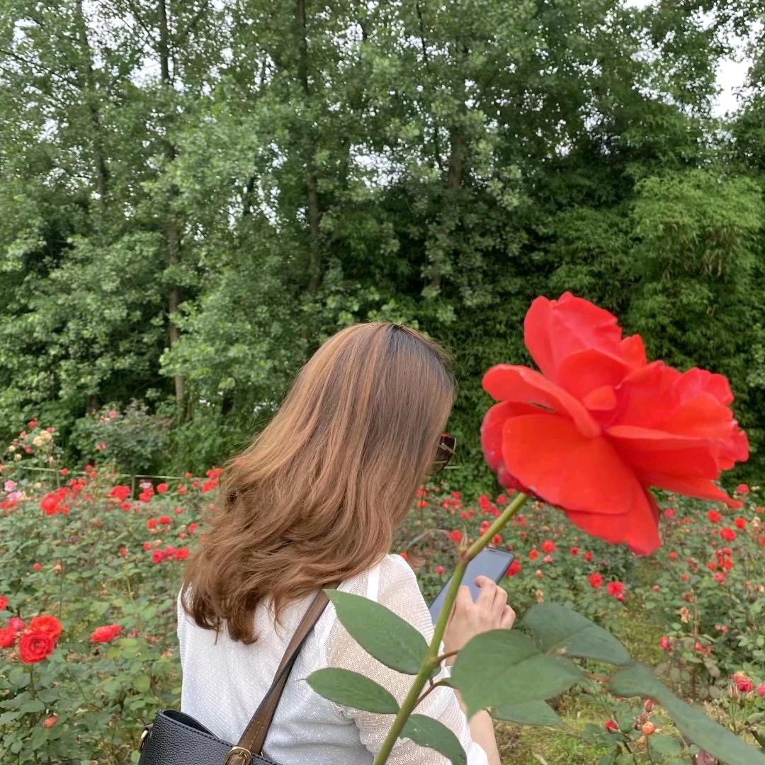 (ღ♡🌸💕茶👒农❁丫头*✲ﾟ*