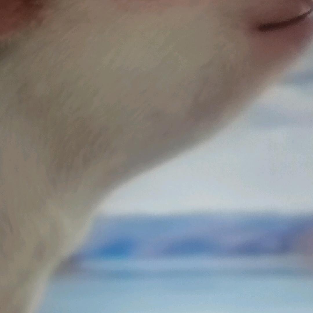 ✔✔✔✔✔