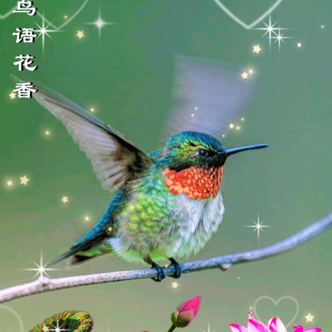 回忆很苦