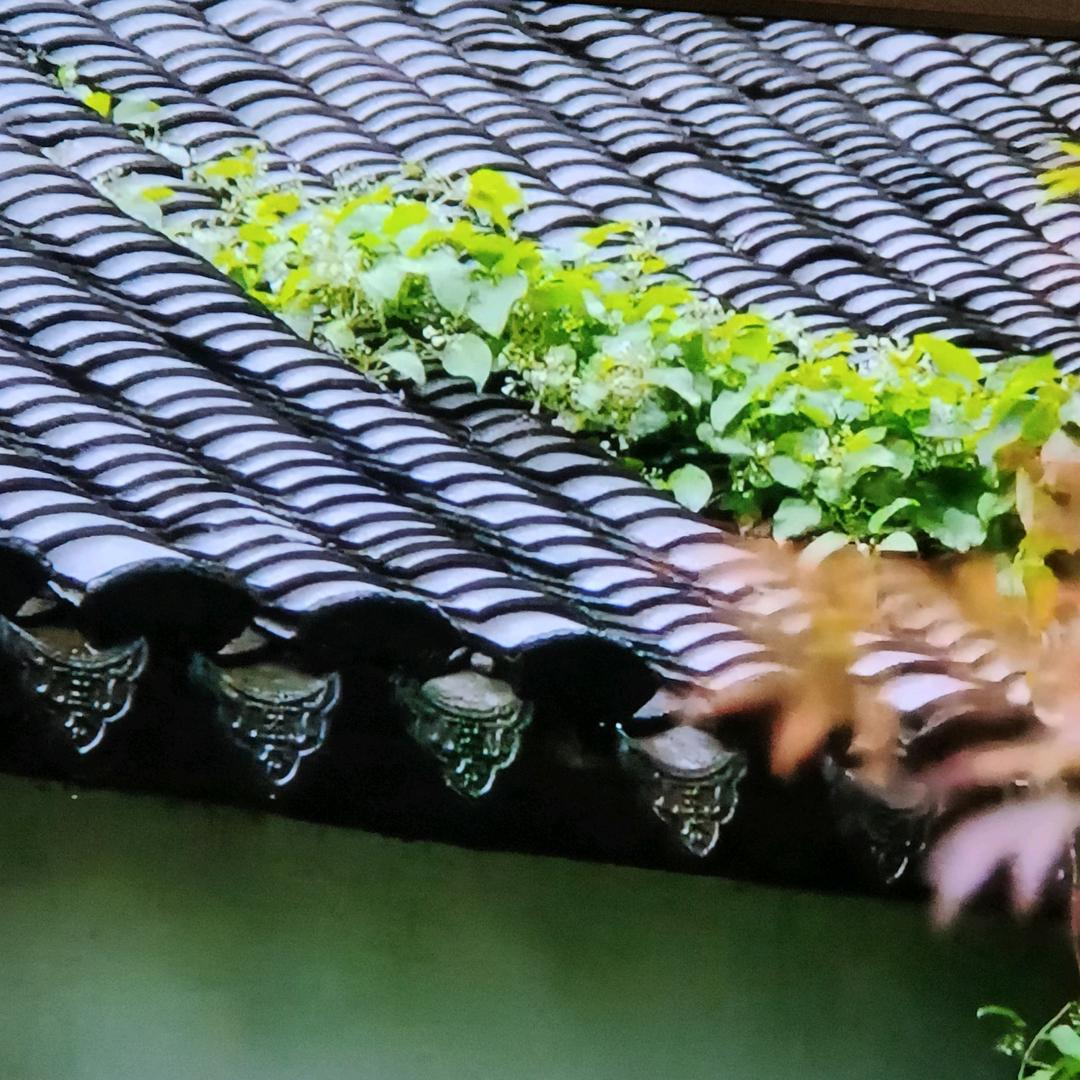 悠然自得