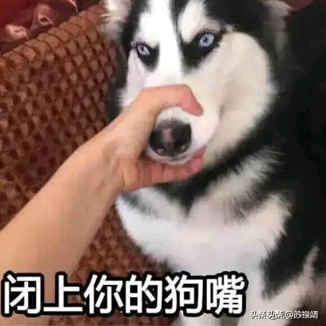 憋不住看你这个你们保修卡