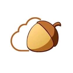坚果
