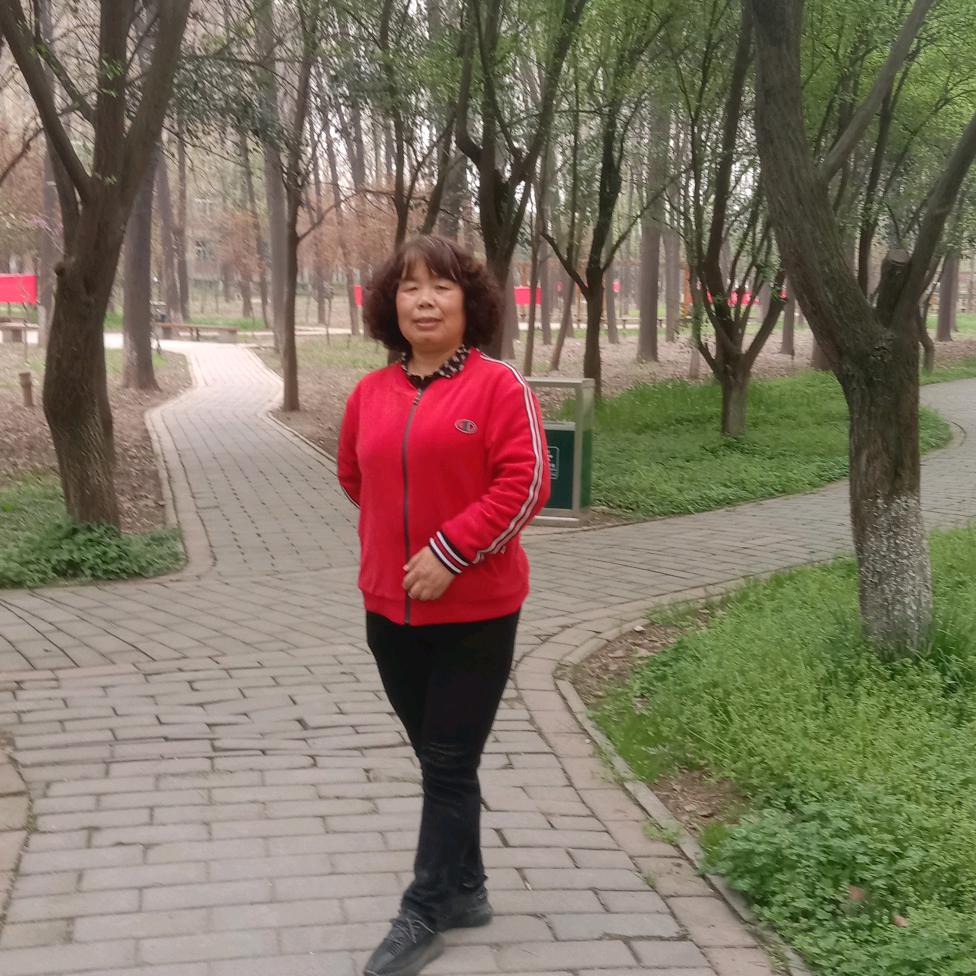 格桑花开