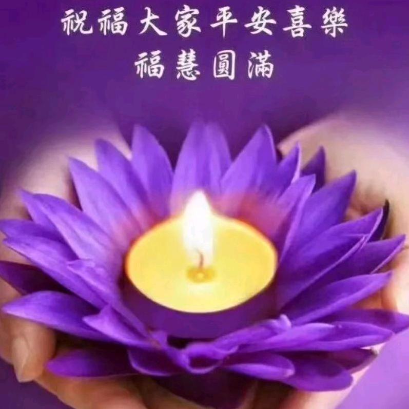 智敦
